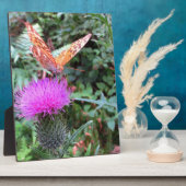 Schöne Orange Butterfly auf der Thistle Blume Fotoplatte (Seite)
