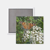 Schöne Orange Butterfly & White Blume Magnet (Vorderseite/Rückseite)