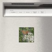 Schöne Orange Butterfly & White Blume Magnet (In Situ (Geschirrspüler))