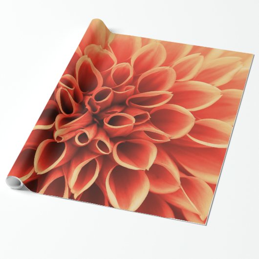 Schöne Orange Dahlia Blume Geschenkpapier (Ungerollt)