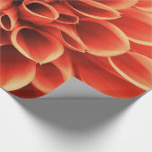 Schöne Orange Dahlia Blume Geschenkpapier (Ecke)
