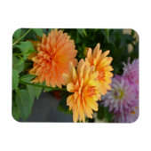 Schöne orange Dahlia Blume Kühlschrankmagnet Magnet (Horizontal)