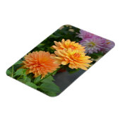 Schöne orange Dahlia Blume Kühlschrankmagnet Magnet (Linke Seite)