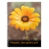 Schöne Orange Daisy Blume Die Kunst der Erde Notizblock (Vorderseite)
