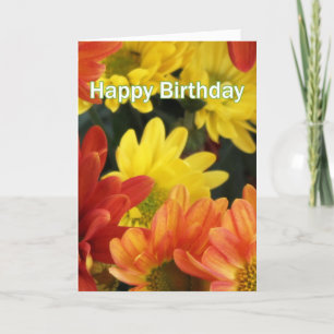 Schöne orange, gelbe Gänseblümchen Blumen Alles Gu Karte