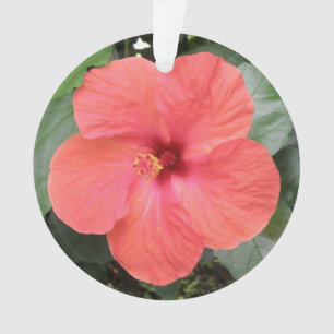 Schöne Orange Hibiskus Blume Akrylorische Ornament