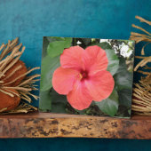 Schöne Orange Hibiskus Blume Plaque Fotoplatte (Seite)