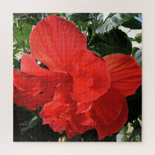 Schöne orange Hibiskusblüten-Foto Puzzle