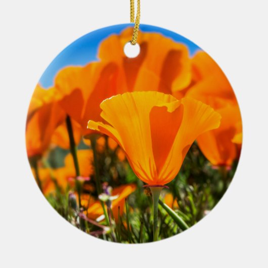 Schöne orange Mohnblumen-Blumen auf einem Gebiet Keramik Ornament (Vorne)