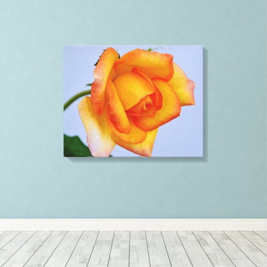 Schöne Orange Rose Leinwand Art Printing (Insitu (Holzboden))