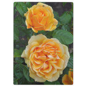 Schöne orange Rosen Klemmbrett (Rückseite)