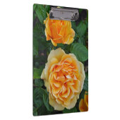 Schöne orange Rosen Klemmbrett (Rechts)