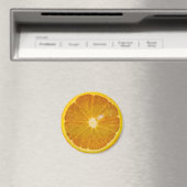 SCHÖNE ORANGE SLICE MAGNET (In Situ (Geschirrspüler))