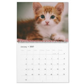 Schöne Orange Tabbies 2022 Kalender (Jan 2027)