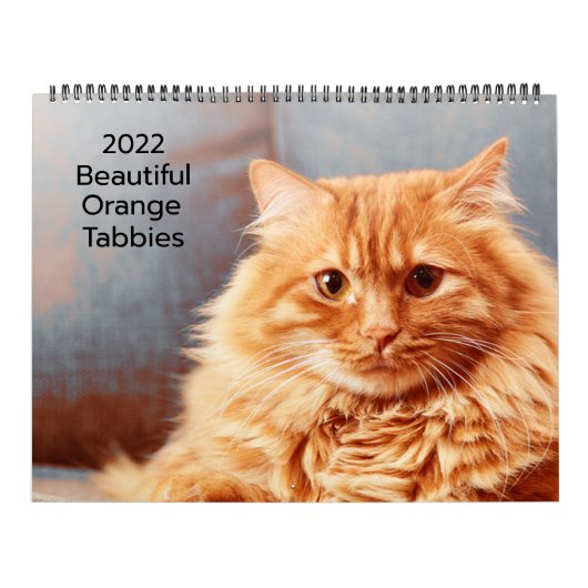 Schöne Orange Tabbies 2022 Kalender (Titelbild)