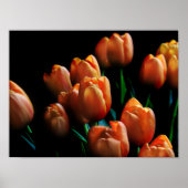 Schöne Orange Tulips auf schwarzem Poster (Vorne)