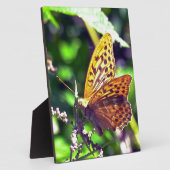 Schöne Orange und Gepunktete Schwarze Schmetterlin Fotoplatte (Seite)