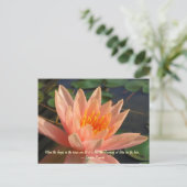 Schöne Orange Wasserlilie Postkarte (Stehend Vorderseite)