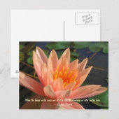 Schöne Orange Wasserlilie Postkarte (Vorne/Hinten)