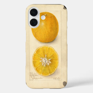 Schöne orangefarbene Kunstwerke iPhone 16 Hülle