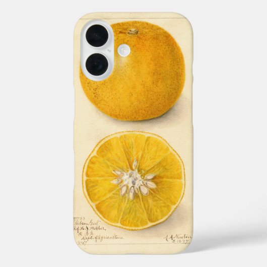 Schöne orangefarbene Kunstwerke Case-Mate iPhone Hülle (Rückseite)