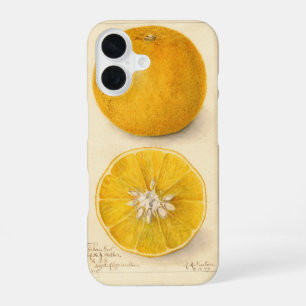 Schöne orangefarbene Kunstwerke iPhone 16 Hülle