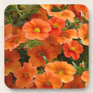 Schöne Orangenblättrige Blume Untersetzer