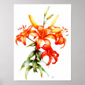 Schöne Orangenlippen, Bleistift und Aquarellkunst Poster (Vorne)