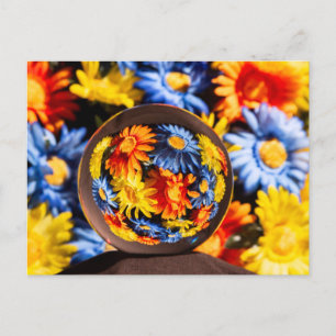 Schöne Orb-Blume Postkarte