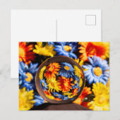 Schöne Orb-Blume Postkarte (Vorne/Hinten)