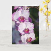 Schöne orchid-Grußkarte Karte (Gelbe Blume)