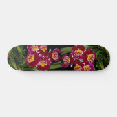 Schöne Orchidee, Miltoniakreuzung Skateboard (Horizontal)