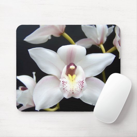 Schöne Orchidee Mousepad (Mit Mouse)