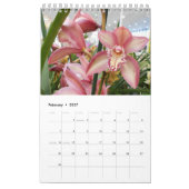 Schöne Orchideen Kalender (Feb 2027)