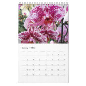 Schöne Orchideen Kalender (Jan 2026)