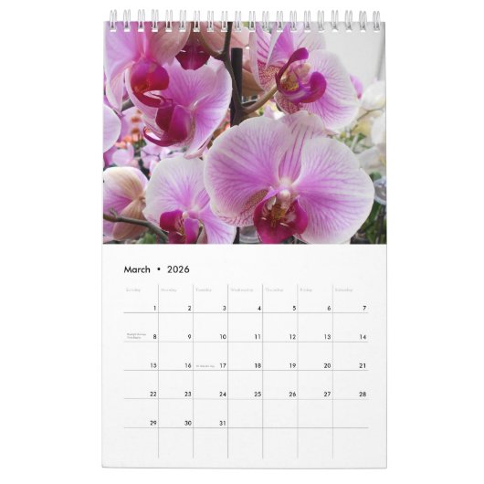 Schöne Orchideen Kalender (Mär 2026)