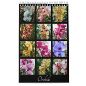 Schöne Orchideen Kalender (Titelbild)