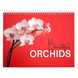 Schöne Orchideen mit Anmerkungen zum Wall-Kalender Kalender