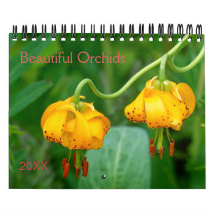 Schöne Orchideen Naturfotografie Kalender