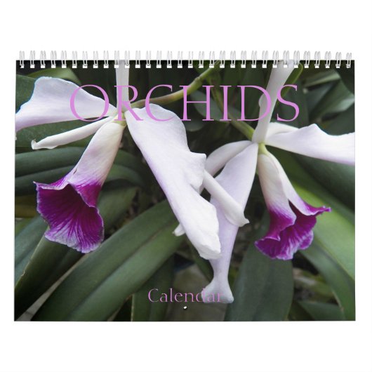 Schöne Orchids florale fotografisch Kalender (Titelbild)