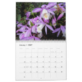 Schöne Orchids florale fotografisch Kalender (Jan 2027)