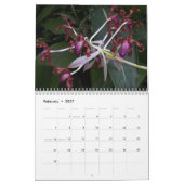 Schöne Orchids florale fotografisch Kalender (Feb 2027)