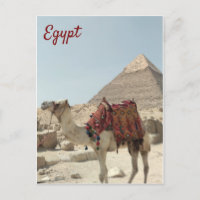 Schöne orientalische, Pyramiden Camel Ägypten Post