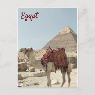 Schöne orientalische, Pyramiden Camel Ägypten Post Postkarte