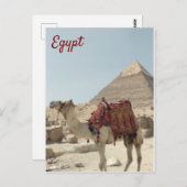 Schöne orientalische, Pyramiden Camel Ägypten Post Postkarte (Vorne/Hinten)