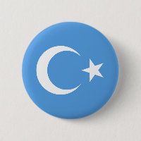 Schöne Ost-Turkestan-Xinjiang-Flagge