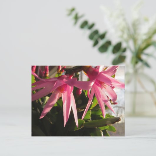 Schöne Osterkakteen-Blume Feiertagspostkarte (Stehend Vorderseite)