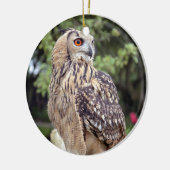 Schöne Owl Wildlife Foto Geschenke Keramik Ornament (Links)