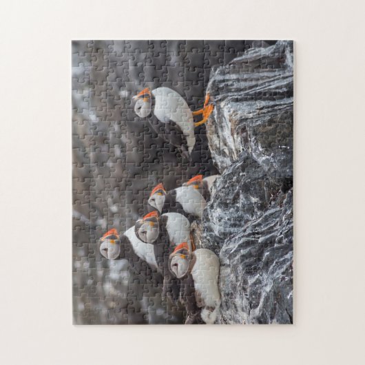 Schöne Ozeanpuffvögel Puzzle (Vertikal)