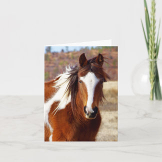 Schöne Paint Horse Geburtstagskarten Karte